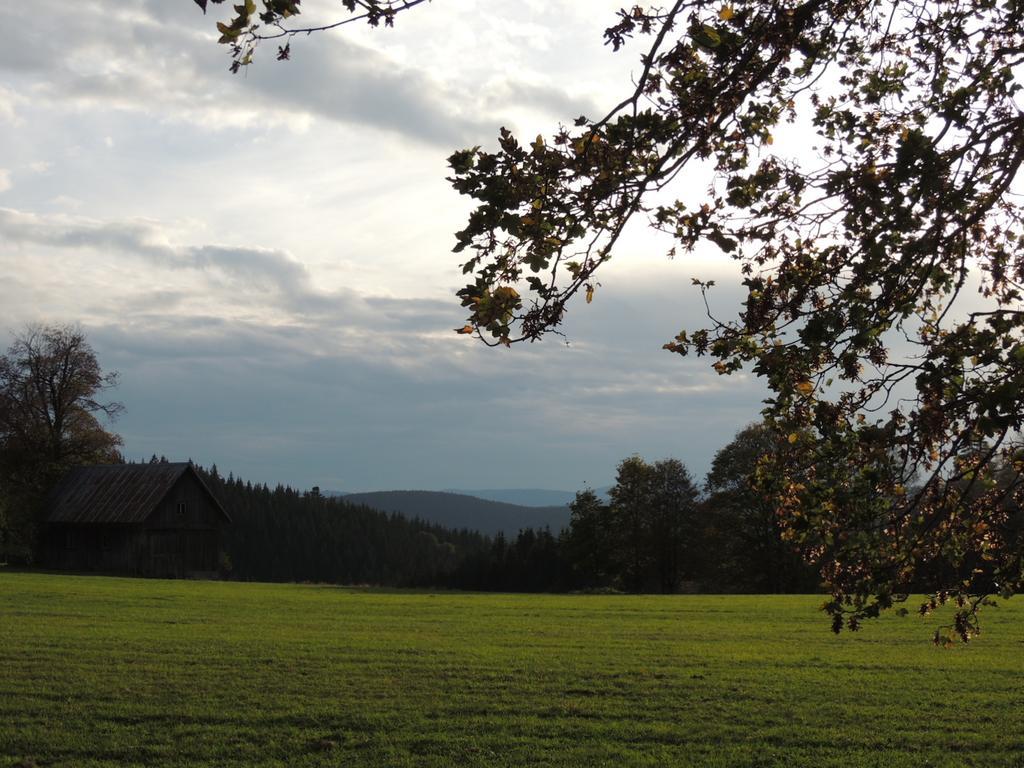 Pension Altvogtshof Eisenbach  Luaran gambar