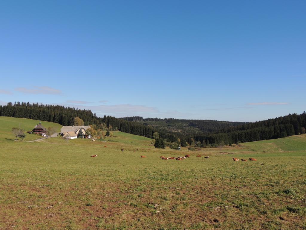 Pension Altvogtshof Eisenbach  Luaran gambar
