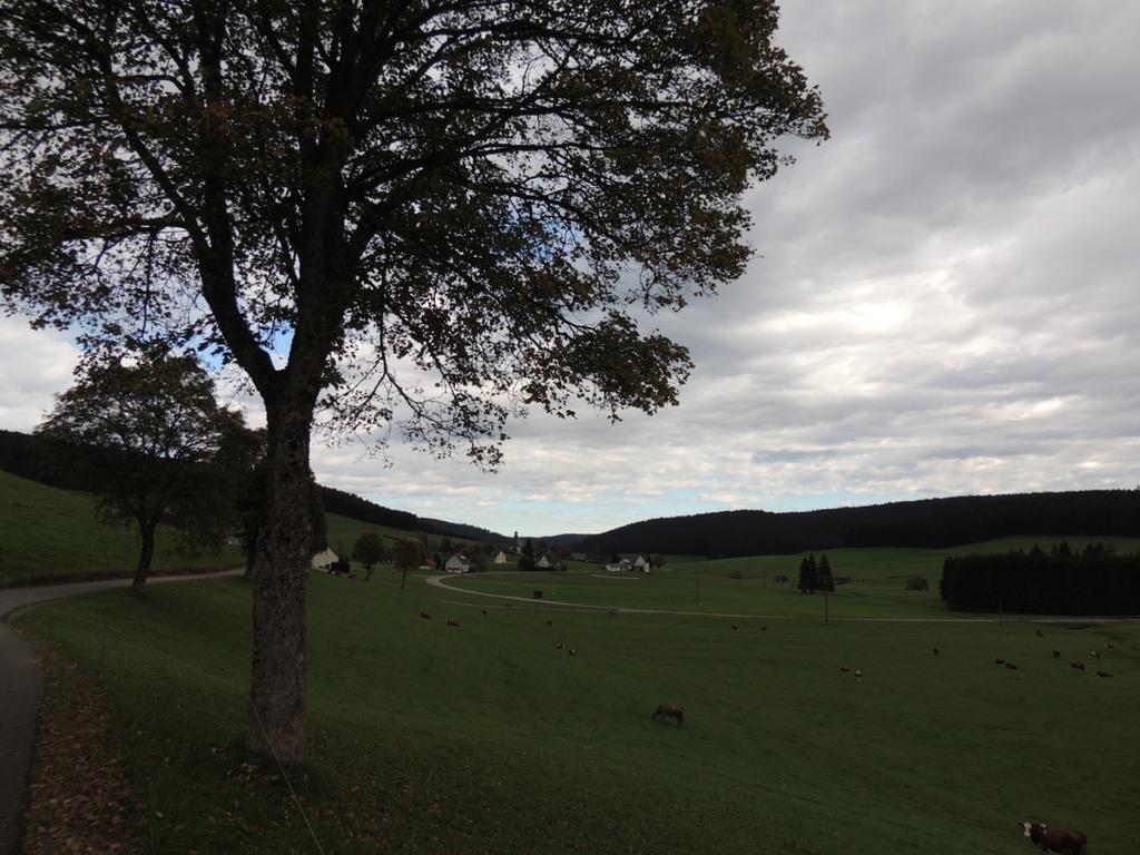 Pension Altvogtshof Eisenbach  Luaran gambar