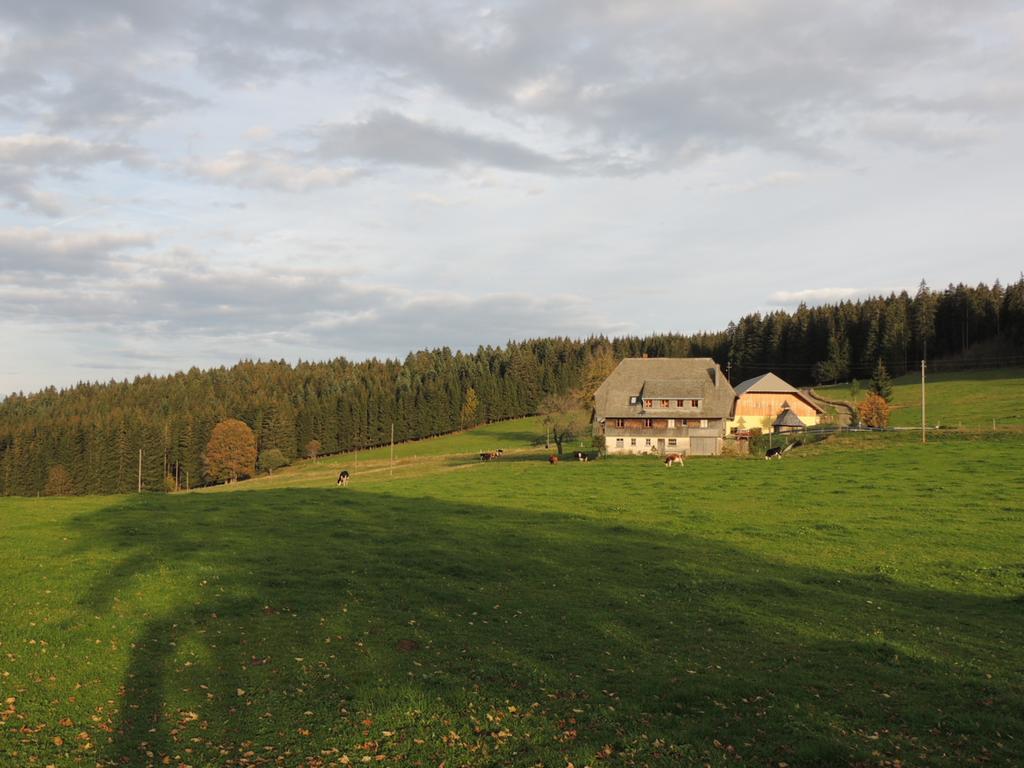 Pension Altvogtshof Eisenbach  Luaran gambar