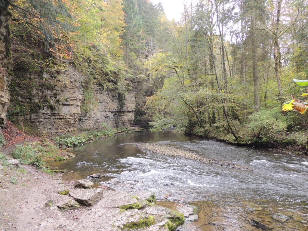 Pension Altvogtshof Eisenbach  Luaran gambar