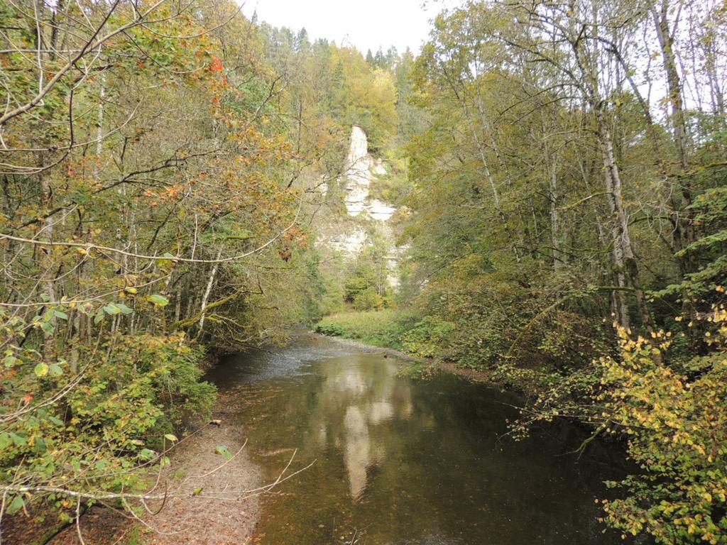 Pension Altvogtshof Eisenbach  Luaran gambar