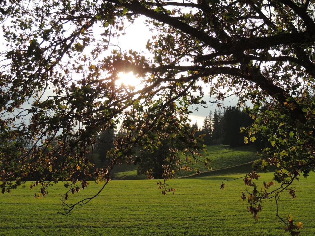 Pension Altvogtshof Eisenbach  Luaran gambar