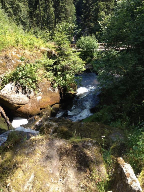 Pension Altvogtshof Eisenbach  Luaran gambar
