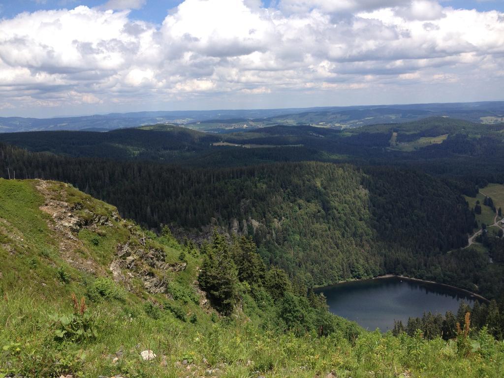 Pension Altvogtshof Eisenbach  Luaran gambar