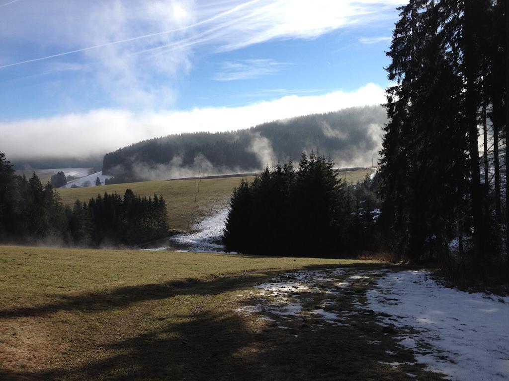 Pension Altvogtshof Eisenbach  Luaran gambar