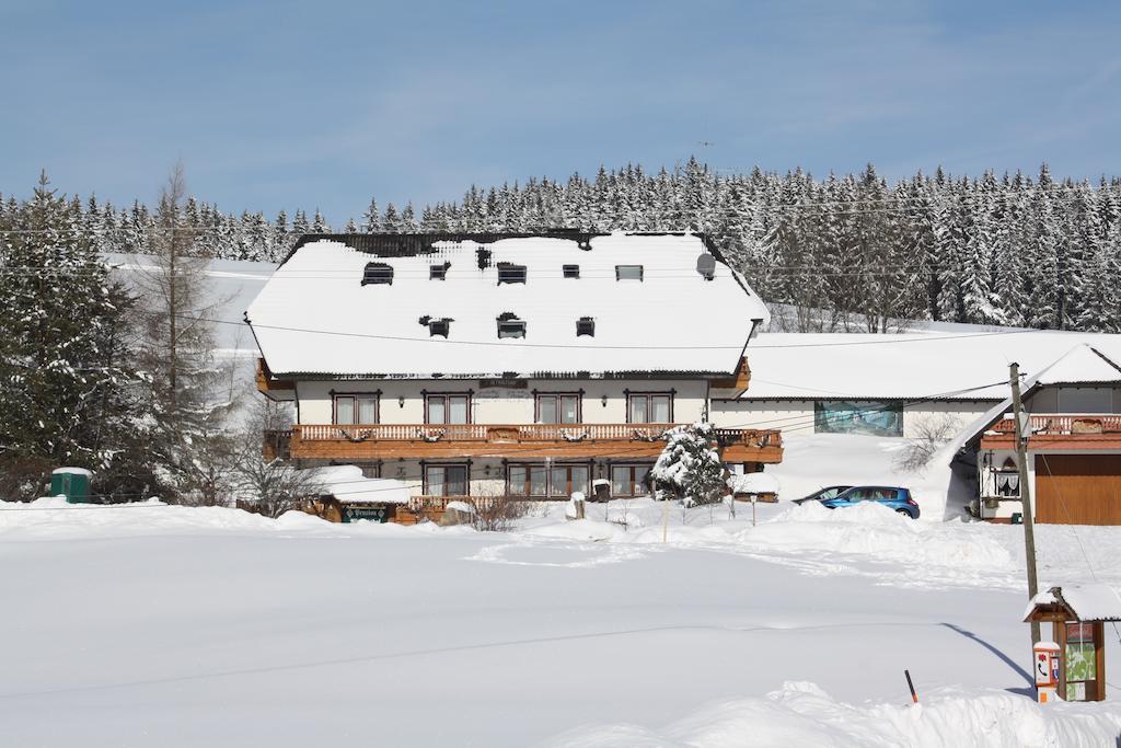 Pension Altvogtshof Eisenbach  Luaran gambar