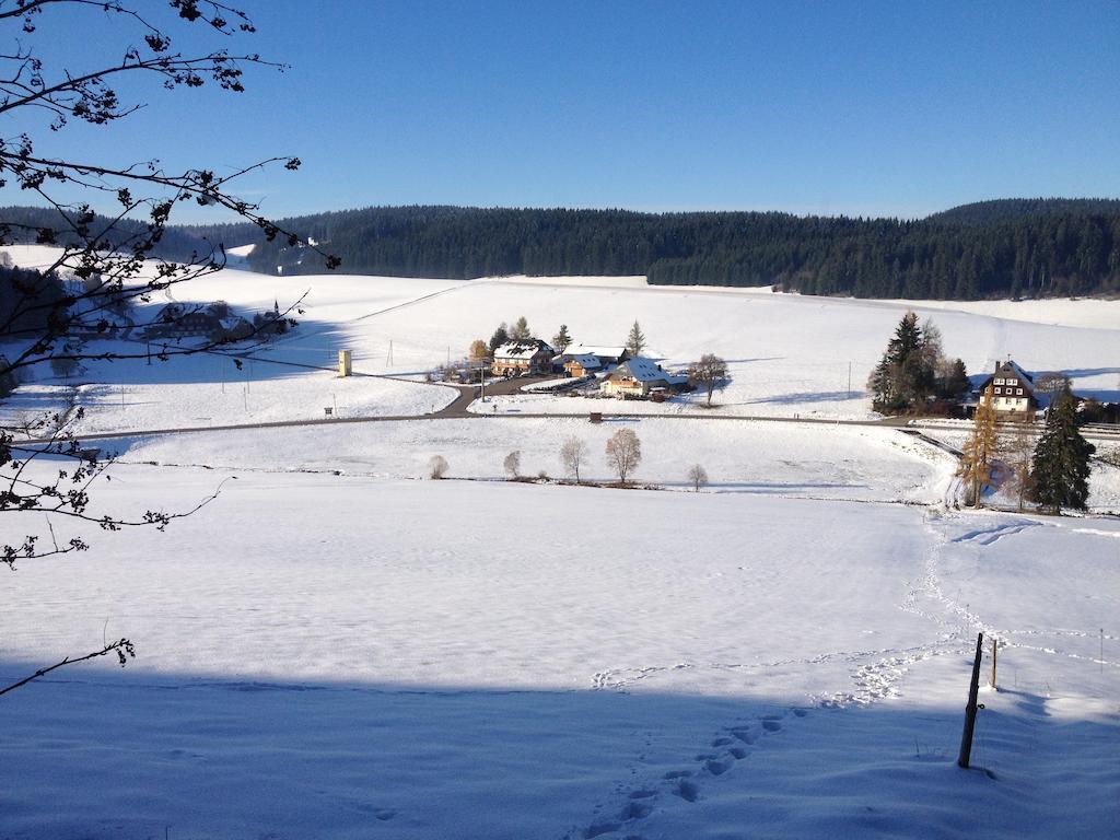 Pension Altvogtshof Eisenbach  Luaran gambar